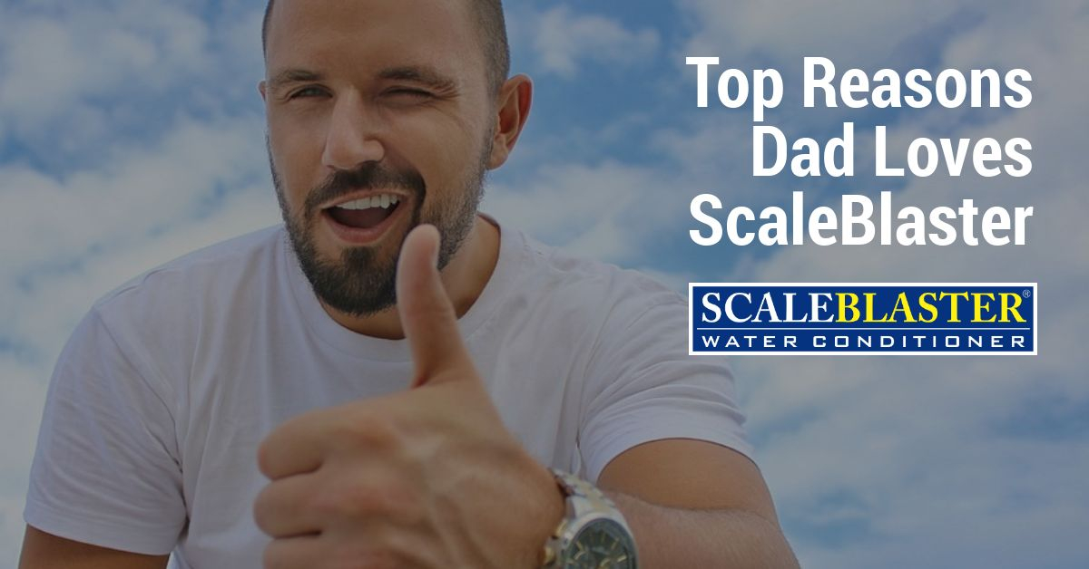 dad - Top Reasons Dad Loves ScaleBlaster