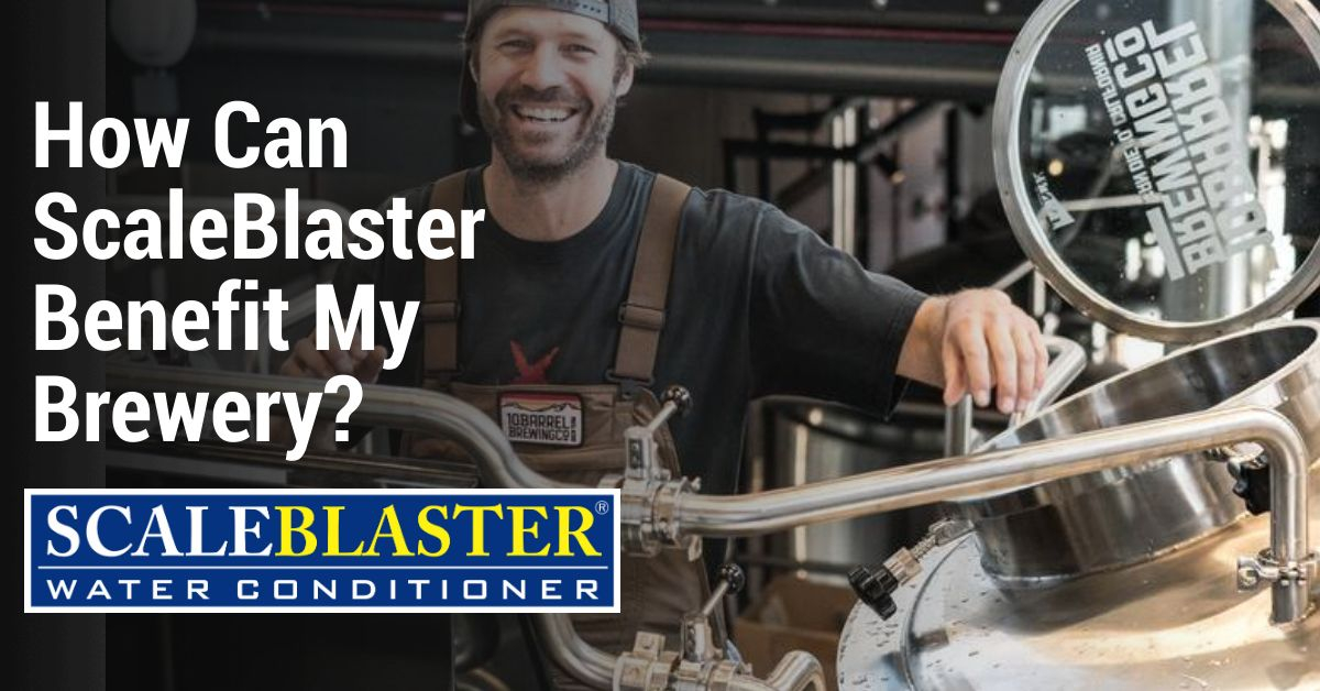 scaleblaster brewery - How Can ScaleBlaster Benefit My Brewery?