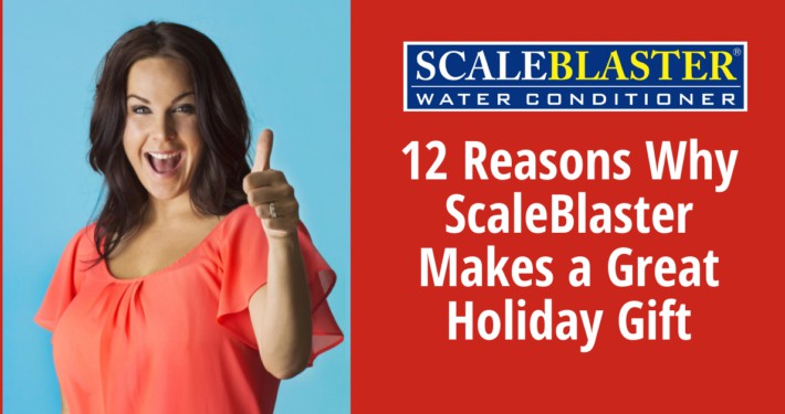 12 Reasons Why ScaleBlaster Makes a Great Holiday Gift 710x375 - News