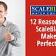 12 Reasons Why ScaleBlaster Makes a Perfect Gift
