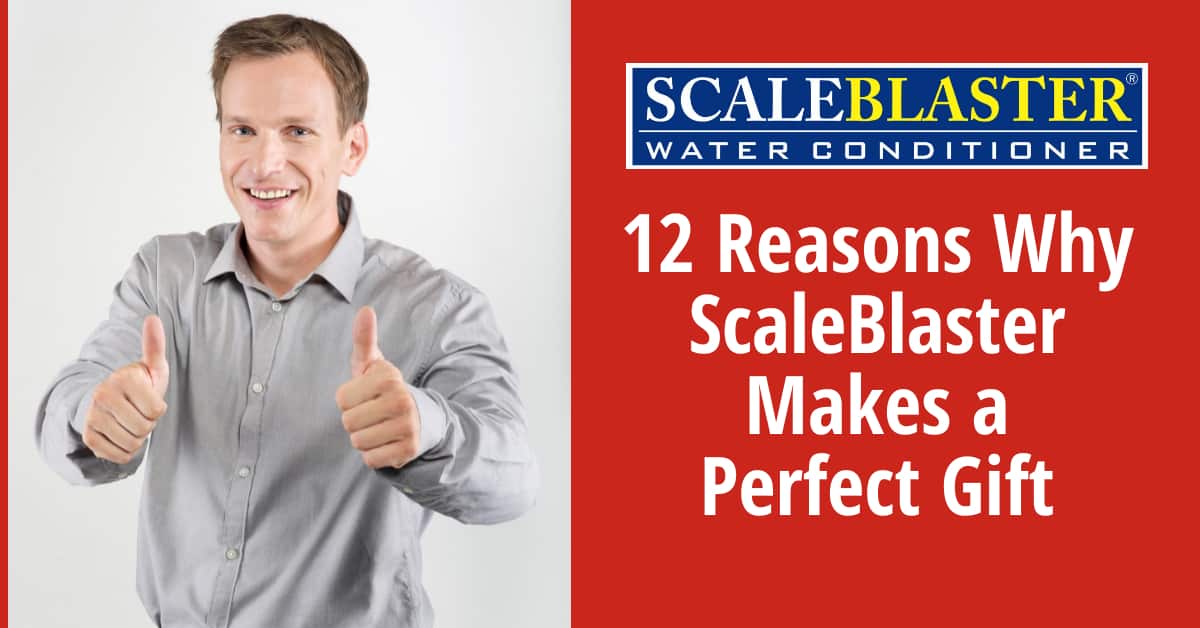 12 Reasons Why ScaleBlaster Makes a Perfect Gift - 12 Reasons Why ScaleBlaster Makes a Perfect Gift