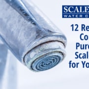 12 Reasons to Consider Purchasing ScaleBlaster for Your Family