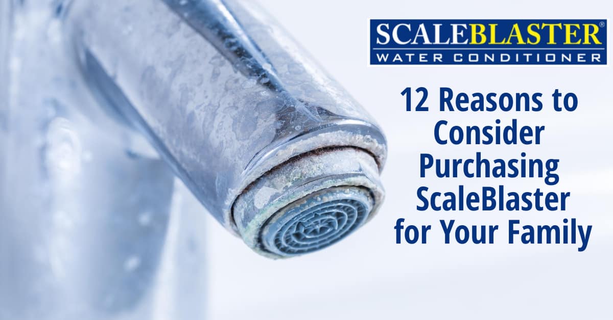 12 Reasons to Consider Purchasing ScaleBlaster for Your Family - 12 Reasons to Consider Purchasing ScaleBlaster for Your Family