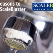 More Reasons to Purchase ScaleBlaster