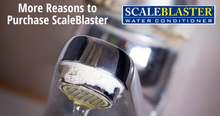 More Reasons to Purchase ScaleBlaster 710x375 - News
