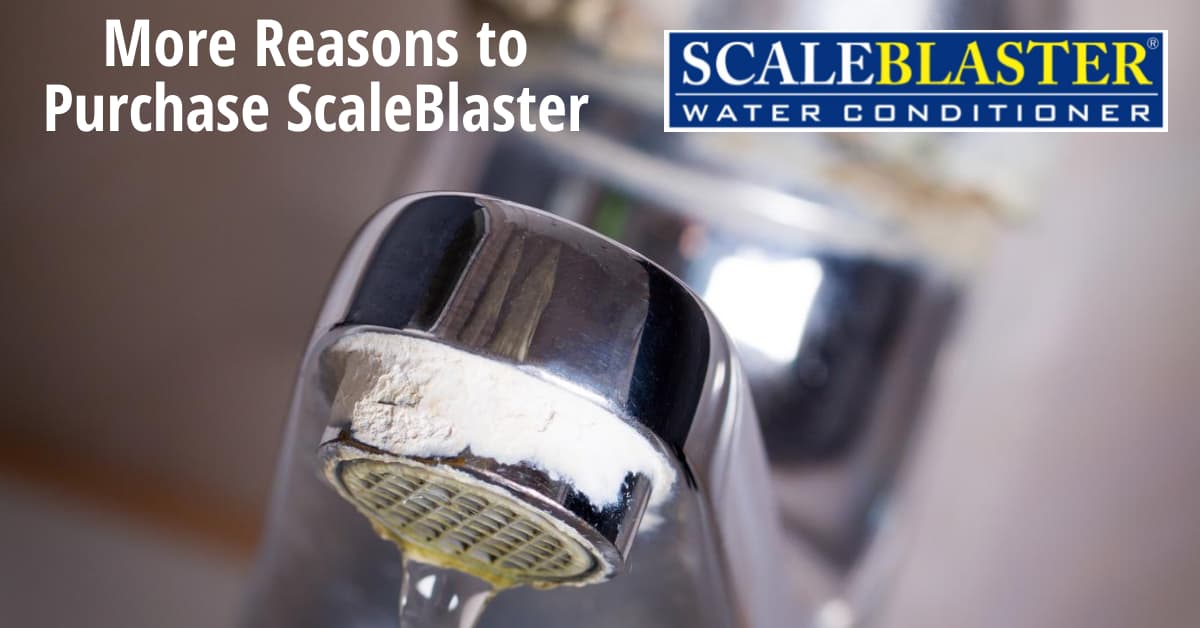 More Reasons to Purchase ScaleBlaster - More Reasons to Purchase ScaleBlaster