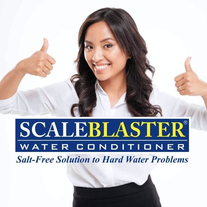 www.scaleblaster.com